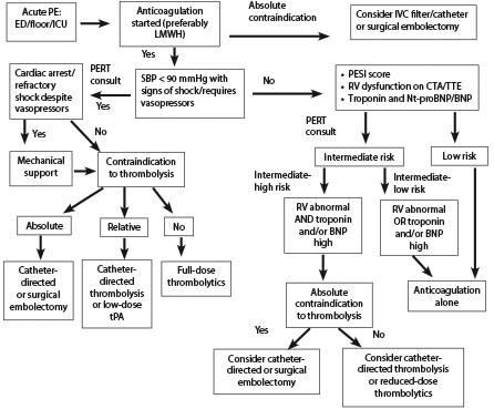 CRC 010122 fig 1 web.jpg