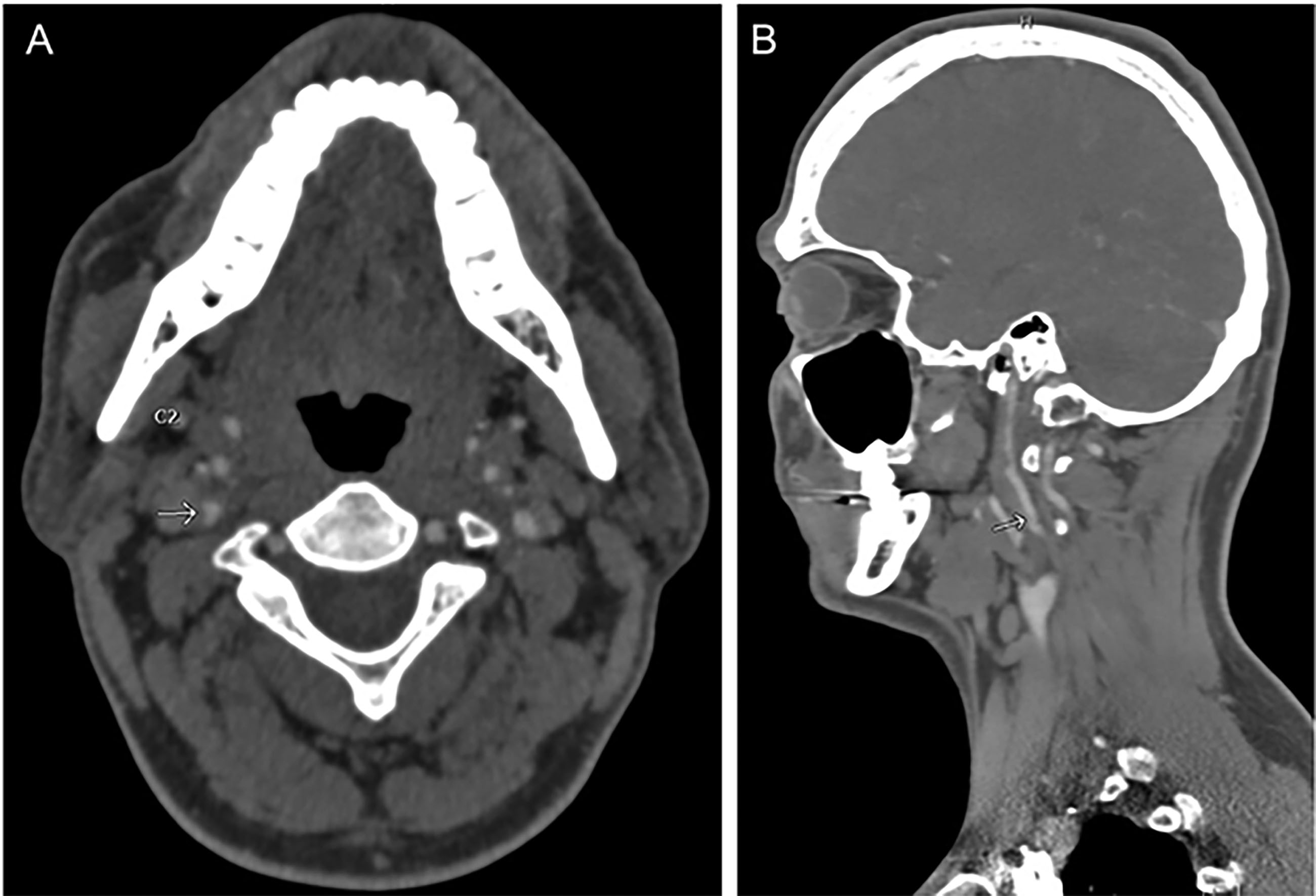EMR010122 Fig 4.jpg