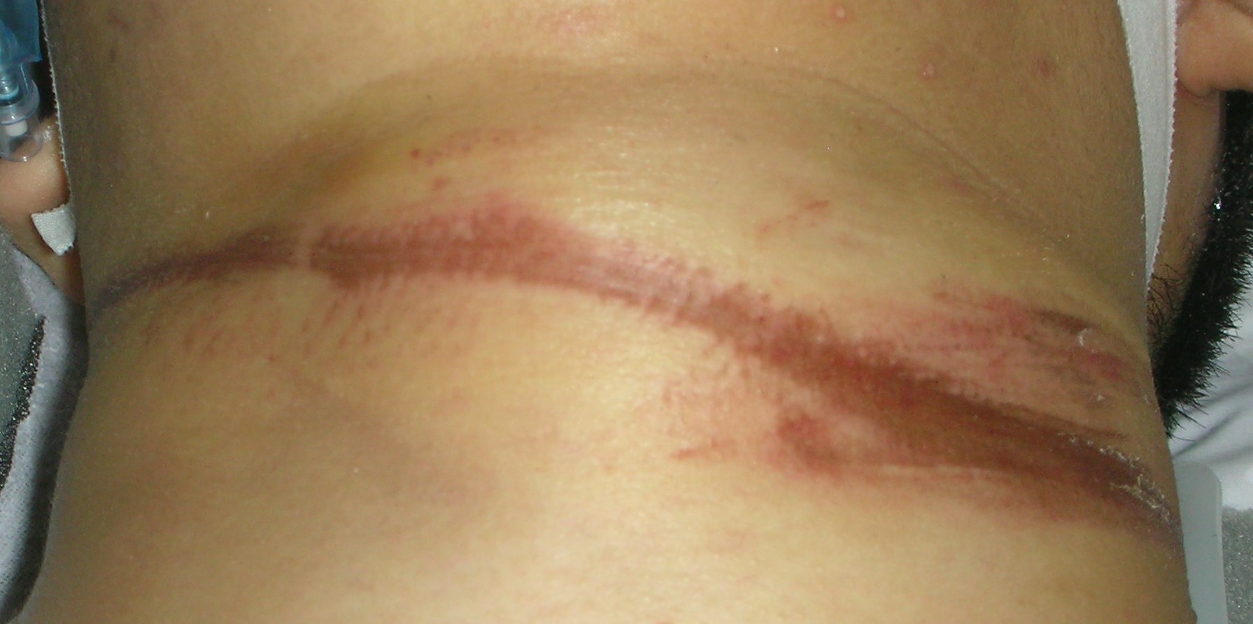EMR010122Figure 3 color.JPG