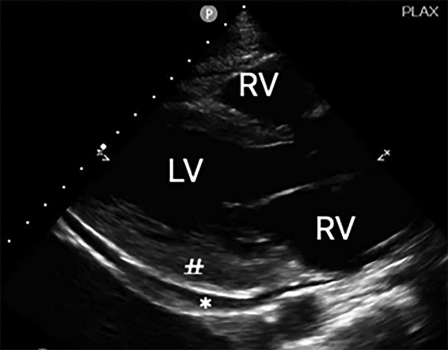 EMR021522fig7.jpg