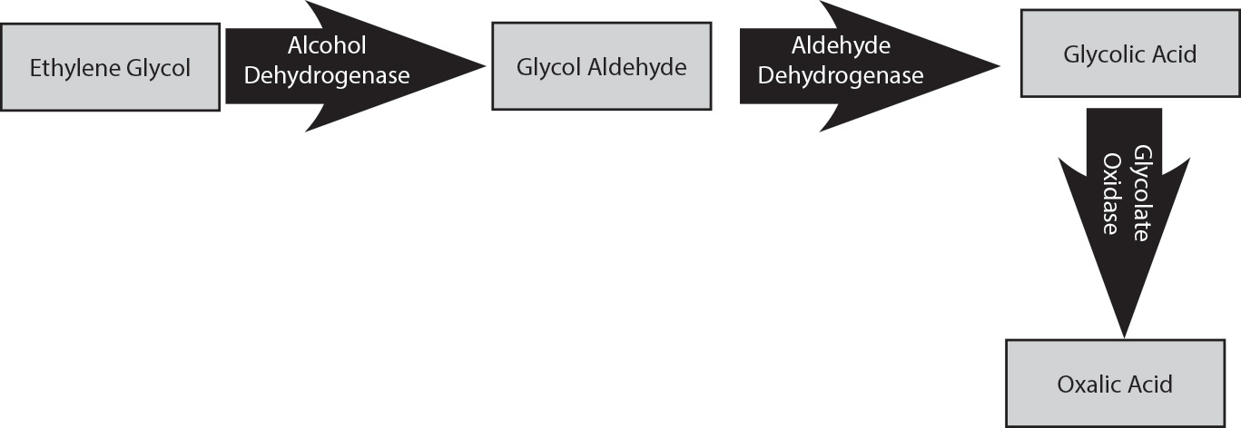 EMR041522fig 2 web.jpg