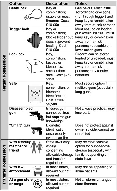 table 2 firearm safe storage