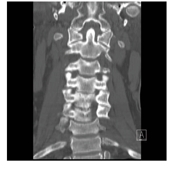 Image courtesy of Howard Werman, MD