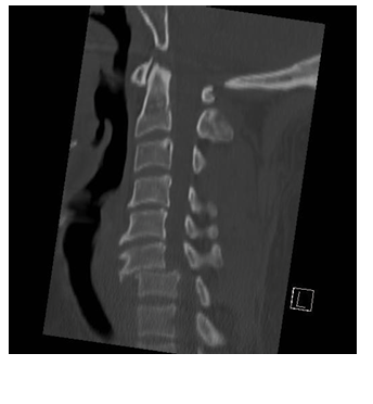 Image courtesy of Howard Werman, MD