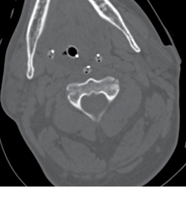 Image courtesy of Howard Werman, MD