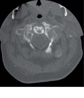 Image courtesy of Howard Werman, MD
