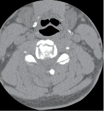 Image courtesy of Howard Werman, MD