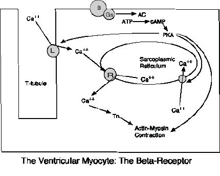 EMR112210fig4.pdf