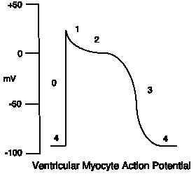 EMR112210fig2.pdf