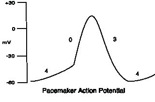 EMR112210fig3.pdf