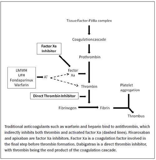 Sites of Action of Anticoagulant Agents