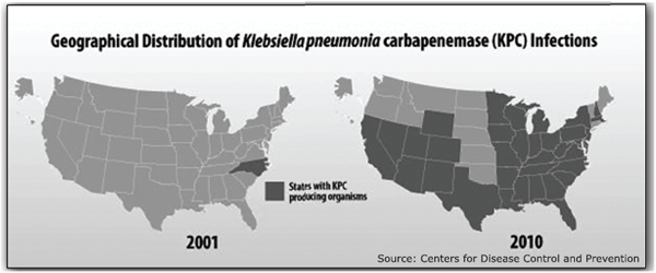 Geographical Distribution
