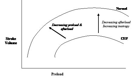 EMR071811fig3.pdf