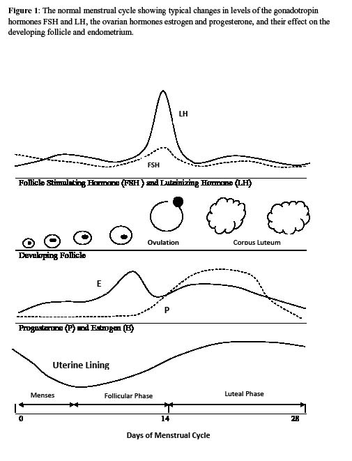 EMR042511fig1.pdf