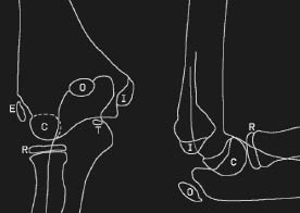 fig3a.pdf