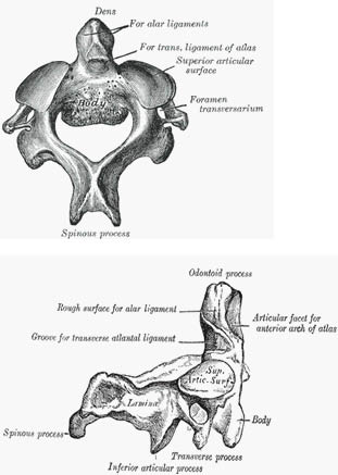 EMR061812 fig 2 axis.pdf