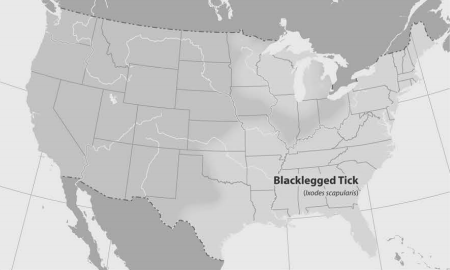 Fig%202%20tick%20distribution.jpg