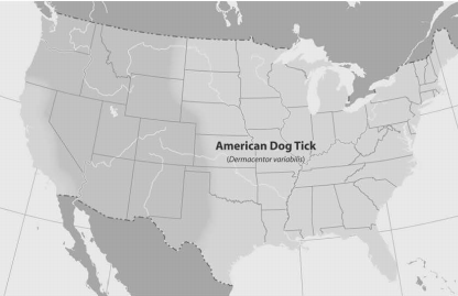 Figure%207%20American%20dog%20tick%20map.jpg