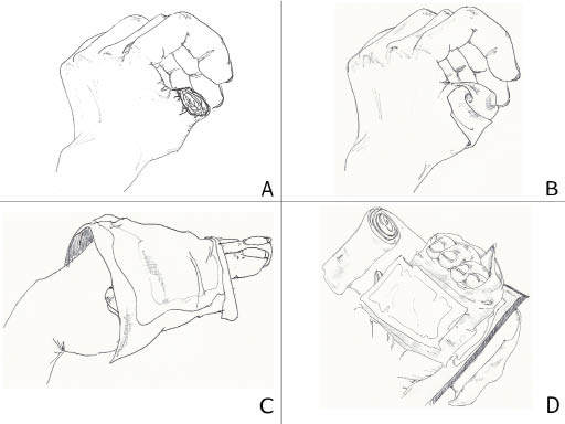 Figure 1.bmp