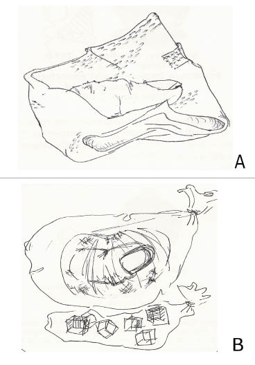 Figure 2.tif