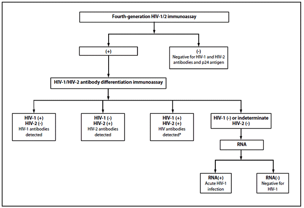New HIV diagnostic testing algorithm