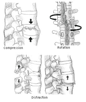 EMR060611fig2.pdf