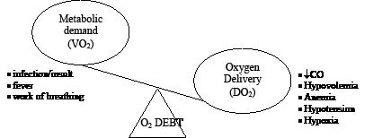 EMR071811fig2B.pdf