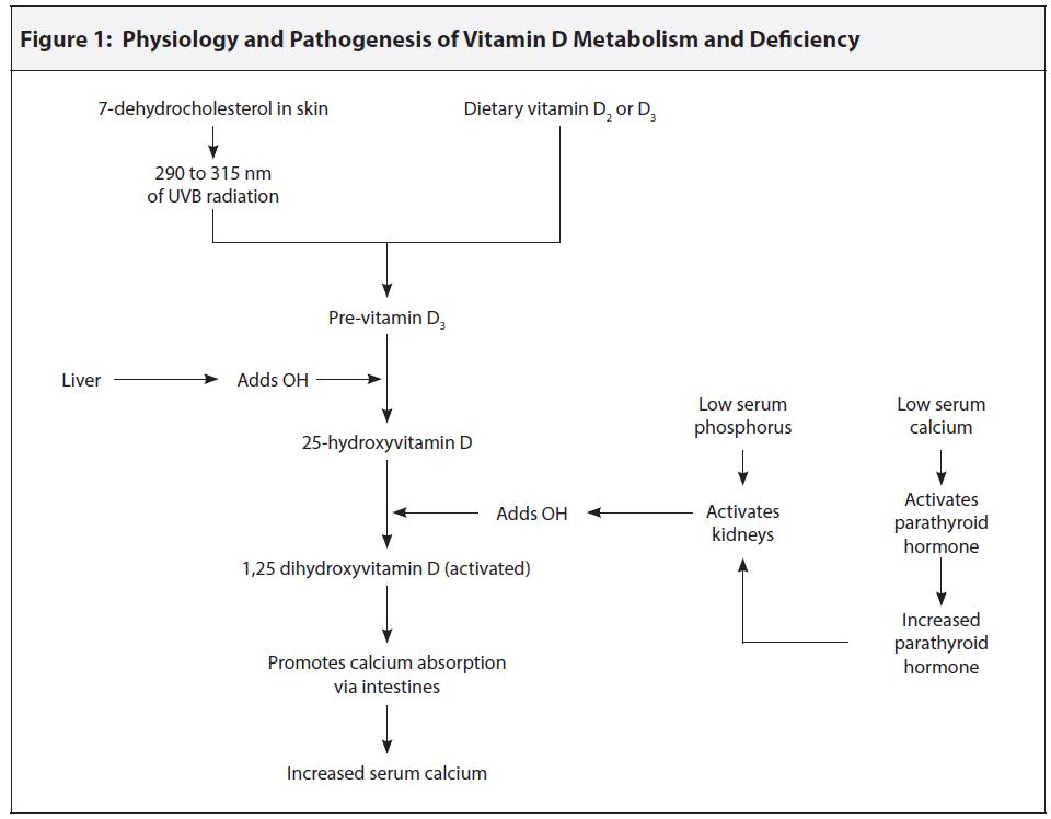 Figure_1_01_01_2015.JPG