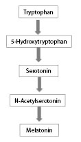 Figure 1 MELATONIN