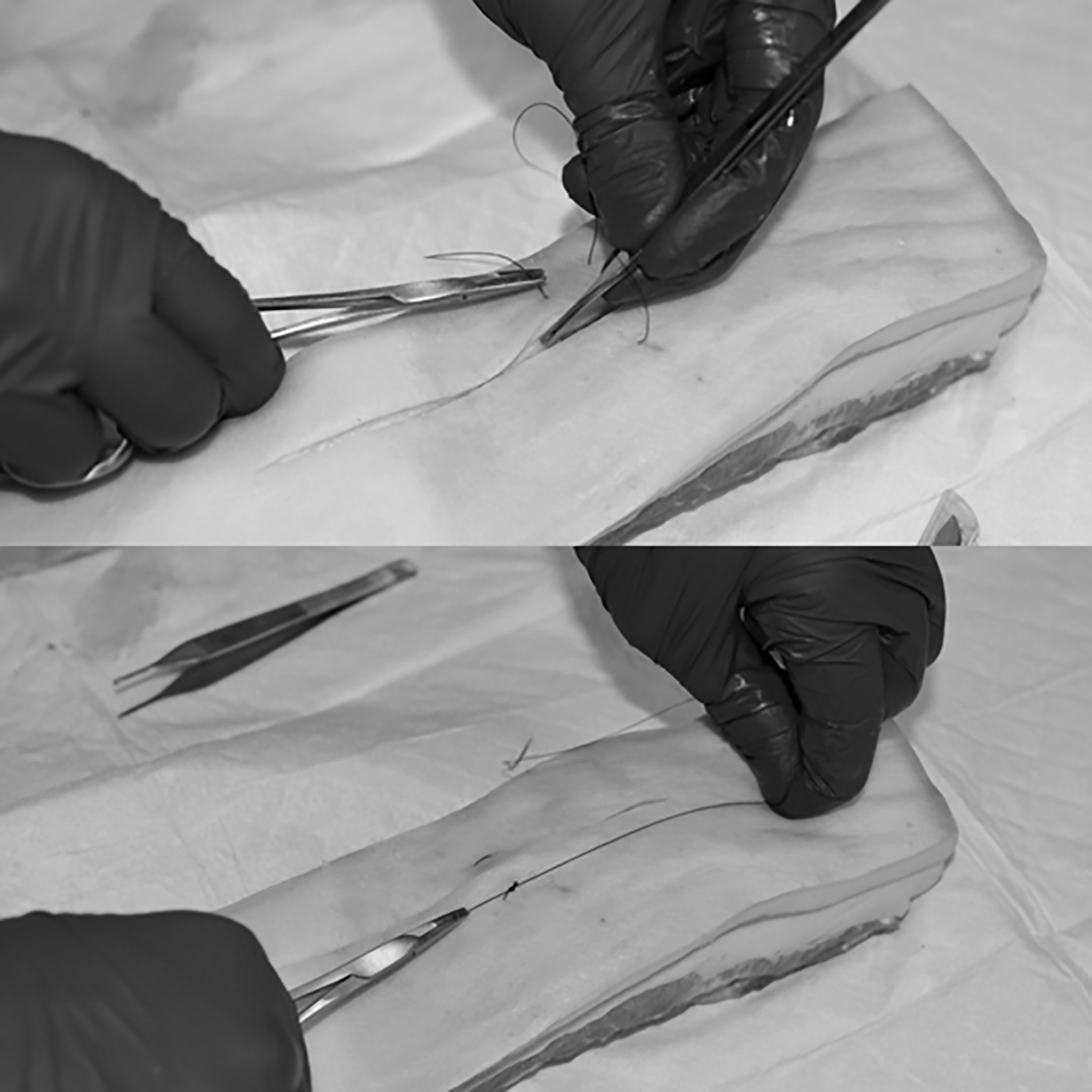 Placement of horizontal mattress sutures