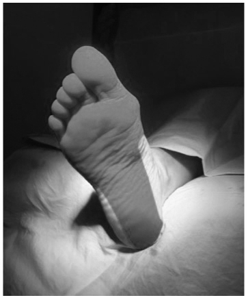 Sensory innervation posterior tibial nerve