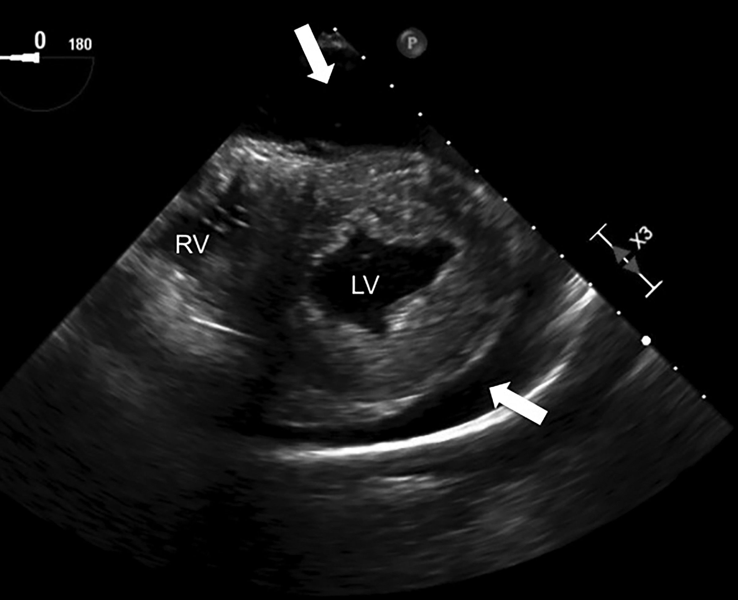 Figure 8