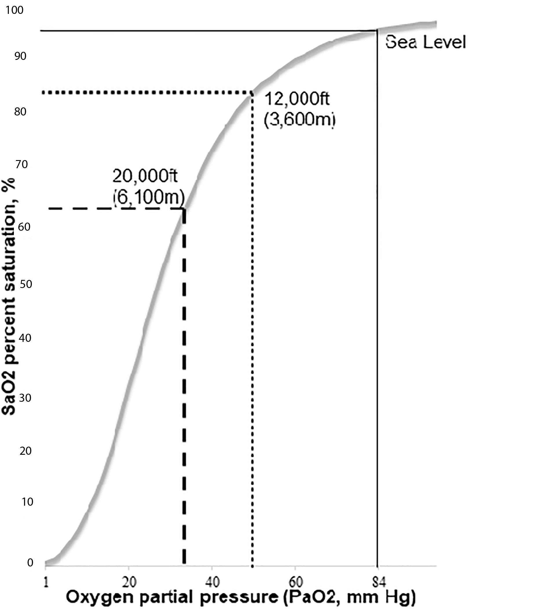 Hemoglobin Saturation and Dissociation Curve