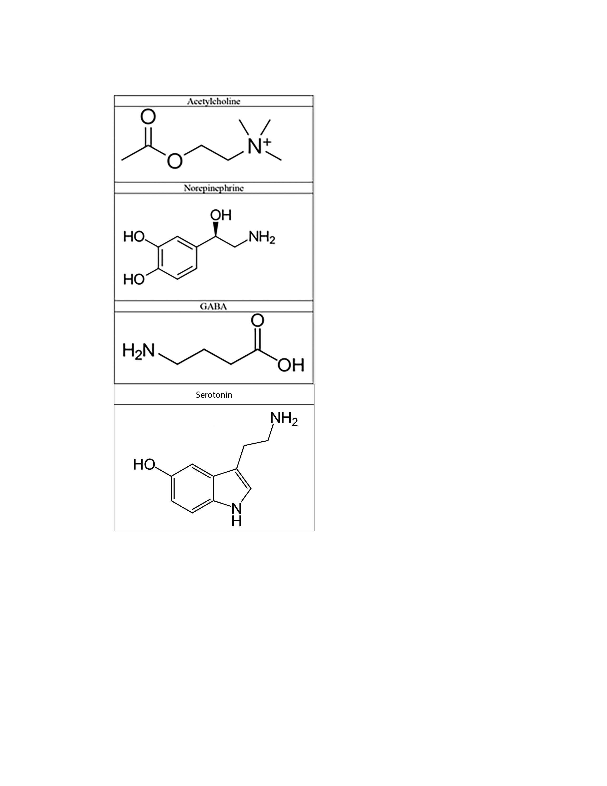 Commonly Implicated Neurotransmitters in Delirium