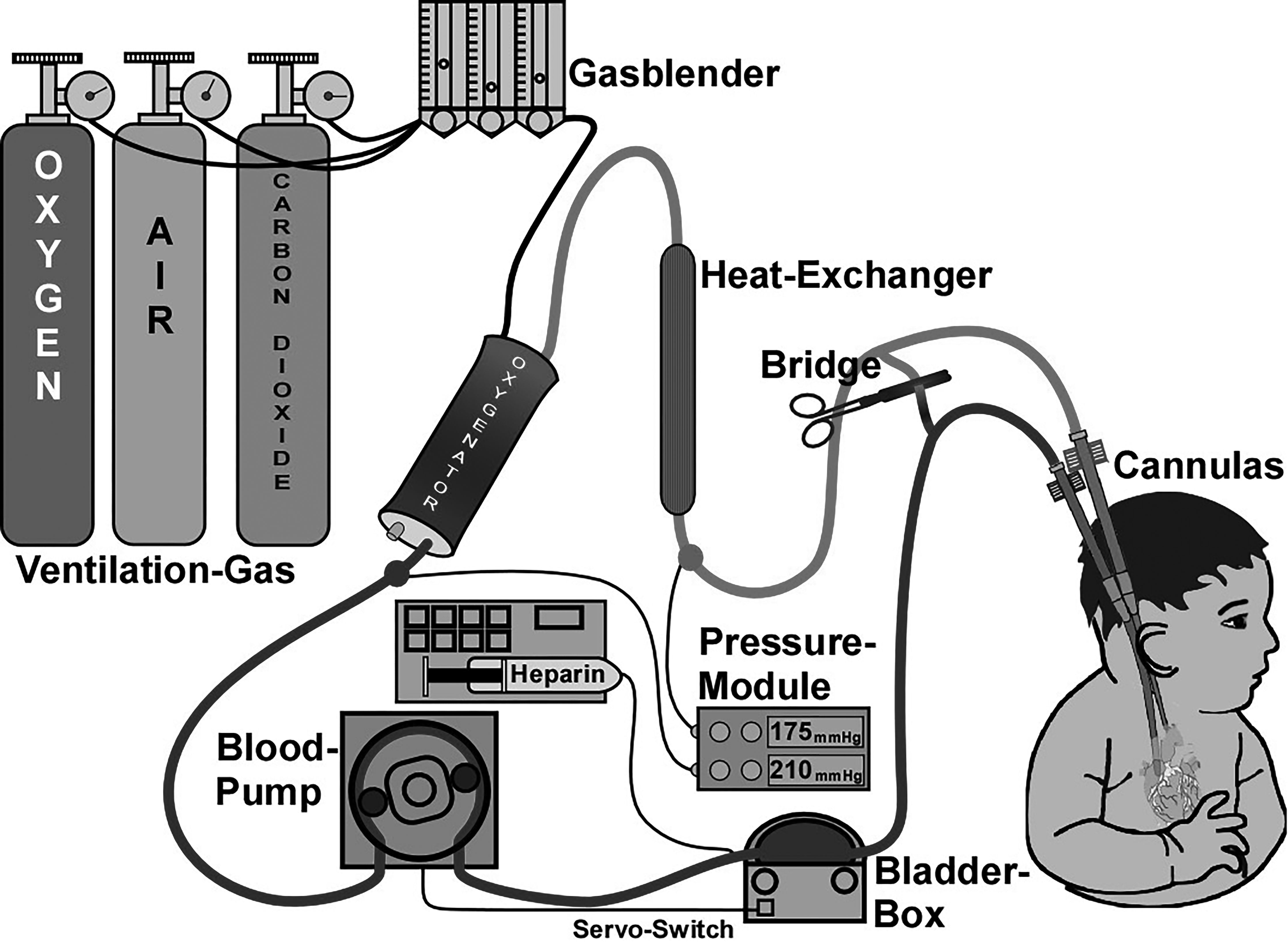 ECMO circuit