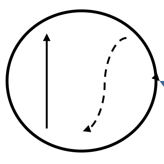 common type