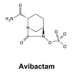 ab