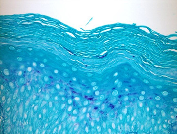Figure 8