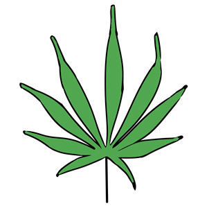 Cannabis sativa