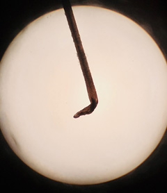 Figure 1 a
