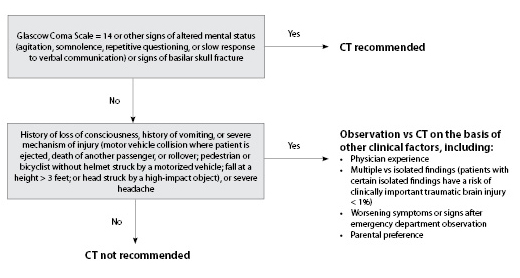 Figure 1b