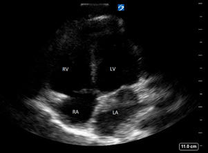 Figure 5 healthy